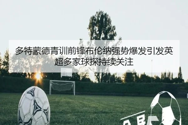 多特蒙德青训前锋布伦纳强势爆发引发英超多家球探持续关注